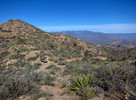 photo thumbnail #4