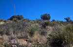 photo thumbnail #14