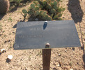 photo thumbnail #3
