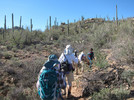 photo thumbnail #4