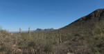 photo thumbnail #5