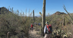 photo thumbnail #6