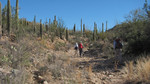 photo thumbnail #9