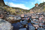 photo thumbnail #13