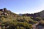 photo thumbnail #4