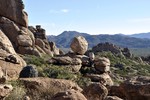 photo thumbnail #6