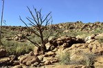 photo thumbnail #11