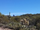 photo thumbnail #7