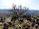 2014-02-11 :2: Kentuck Mountain 5013 - Tonto NF :: FLYING_FLIVER