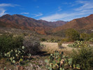 photo thumbnail #5