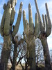 photo thumbnail #3