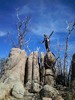 photo thumbnail #4