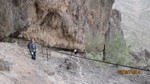 photo thumbnail #10