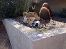 photo thumbnail #4