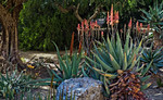 photo thumbnail #12