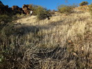 photo thumbnail #1