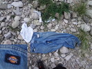 photo thumbnail #8