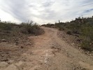 photo thumbnail #7