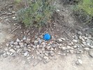 photo thumbnail #9