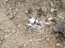 photo thumbnail #13
