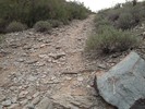 photo thumbnail #15