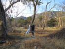 photo thumbnail #1