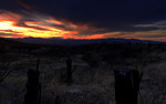 photo thumbnail #12