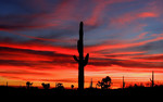 photo thumbnail #14