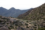 photo thumbnail #12