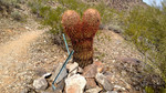 photo thumbnail #5