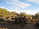 photo thumbnail #6