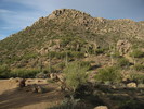 photo thumbnail #10