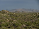 photo thumbnail #11