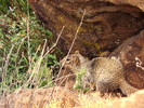 photo thumbnail #12