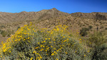 photo thumbnail #1