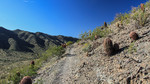 photo thumbnail #5