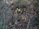 photo thumbnail #6