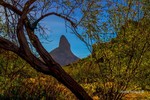 photo thumbnail #9