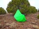 photo thumbnail #5