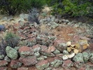 photo thumbnail #10