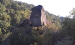 recent photo