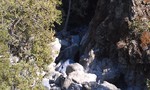 photo thumbnail #8