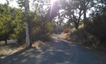 photo thumbnail #11