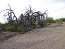 photo thumbnail #2
