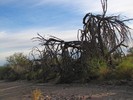 photo thumbnail #3
