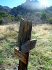 photo thumbnail #15