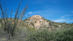 photo thumbnail #5