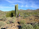 photo thumbnail #7