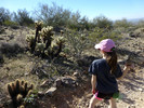 photo thumbnail #11