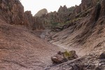 photo thumbnail #5